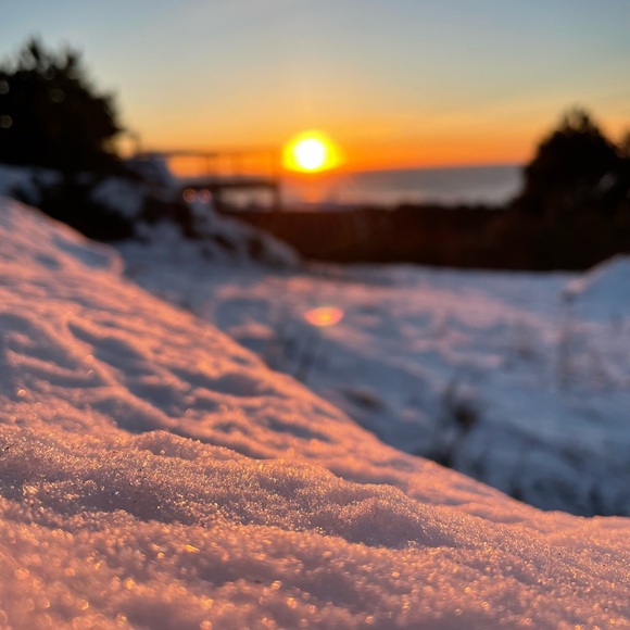 Meet your Posher, D - Picture 1 of 1